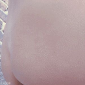 GIF Porno - 2456