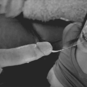 GIF Porn - 25488