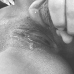 GIF Porn - 25507