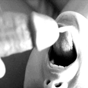 Porno GIF - 25722