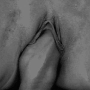 Porno GIF - 25737
