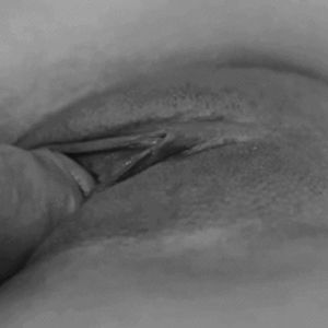 Porno GIF - 25770