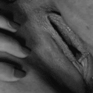 Porno GIF - 26518