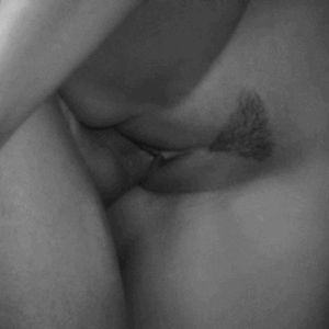 Porno GIF - 26784