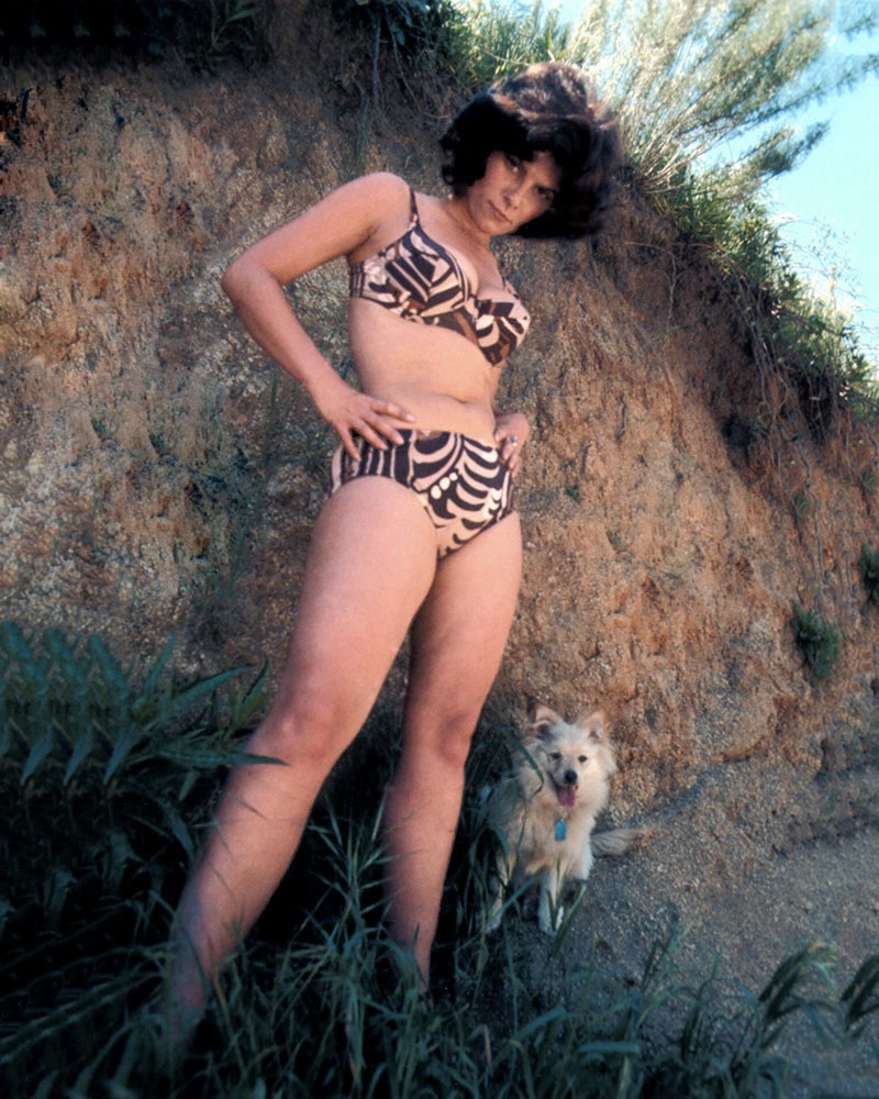 Adrienne Barbeau nuda. Foto - 12