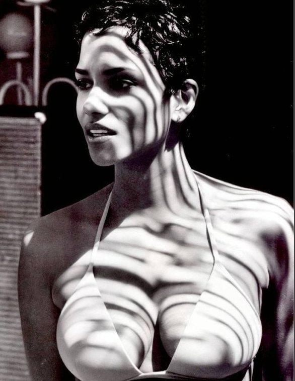 Halle Berry desnuda. Foto - 25