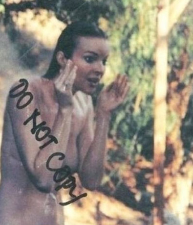 Marcia Cross nuda. Foto - 92