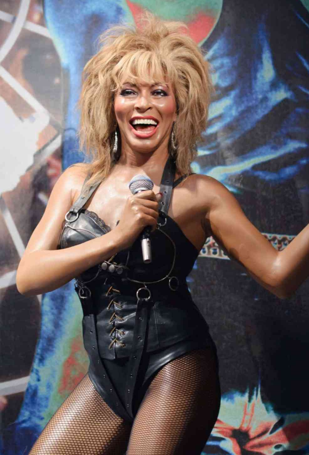 Tina Turner nuda. Foto - 19