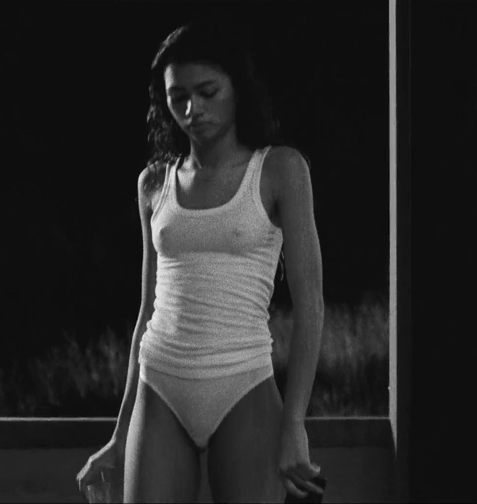 Zendaya Coleman nuda. Foto - 19