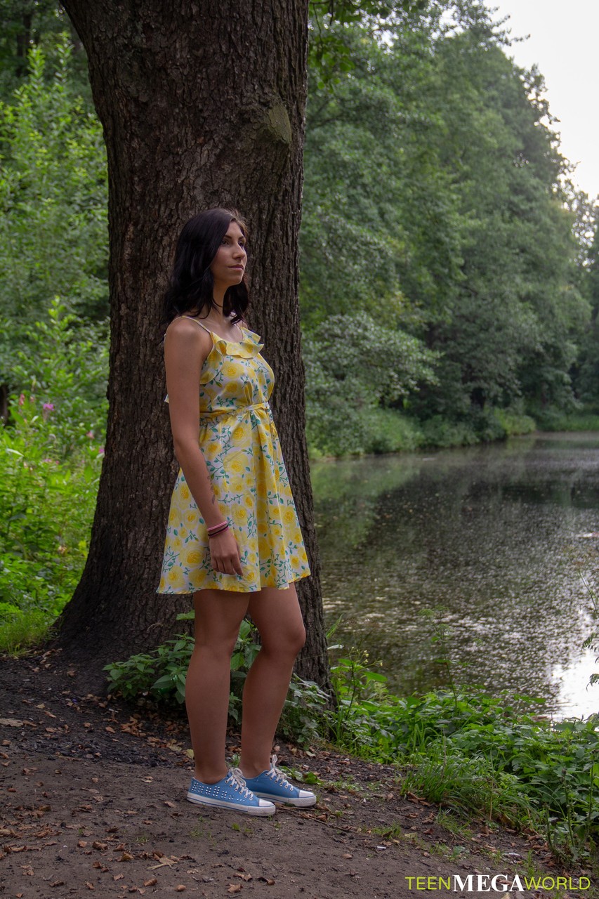 . Galería № 8579. Foto - 1