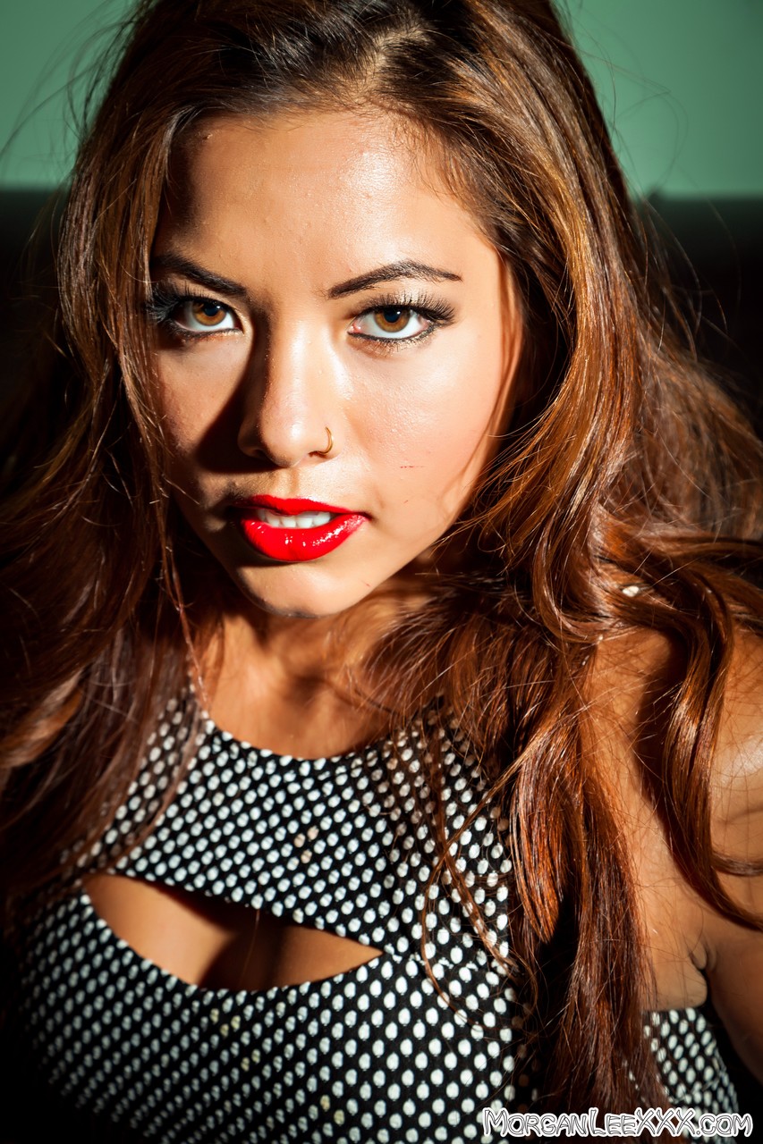 . Galerie № 5571. Photo - 3