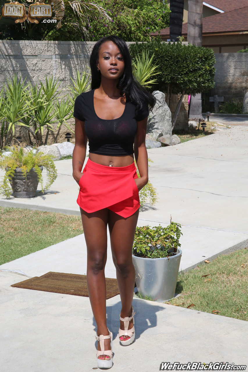 . Galerie № 5729. Photo - 2