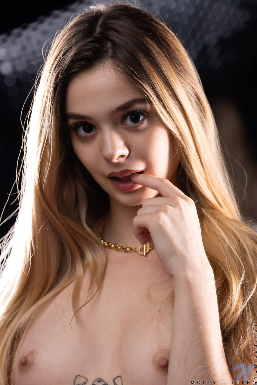 . Galerie № 11246. Photo - 18